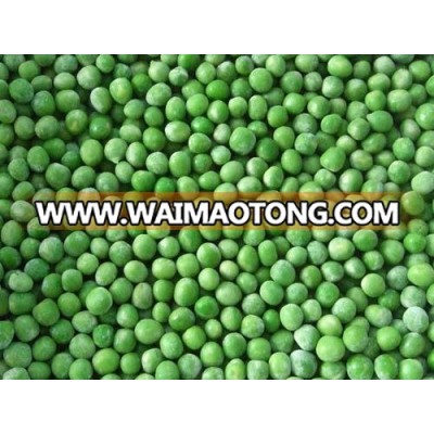 iqf frozen green pea with high quality and low price